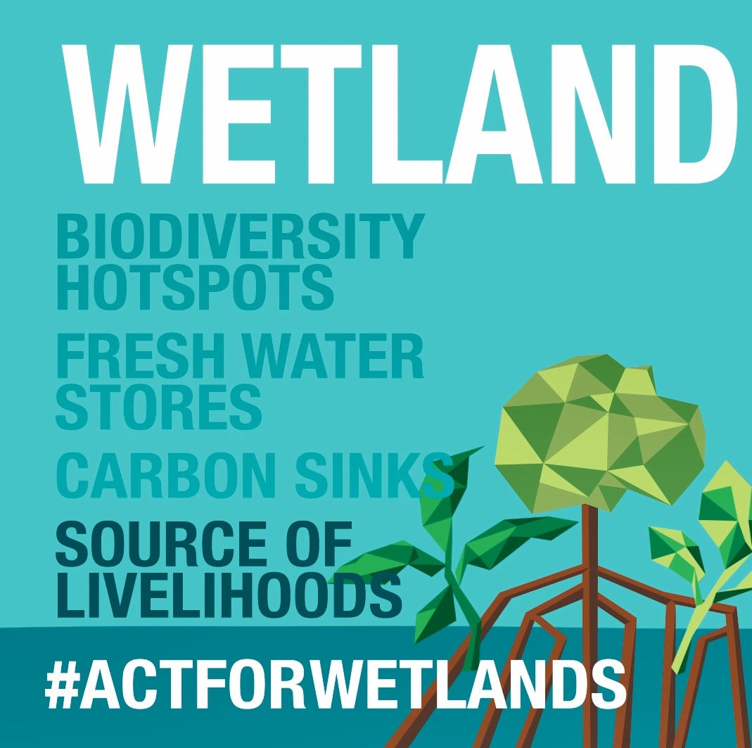 Digital card World Wetlands Day 2022