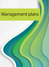 Management plans
