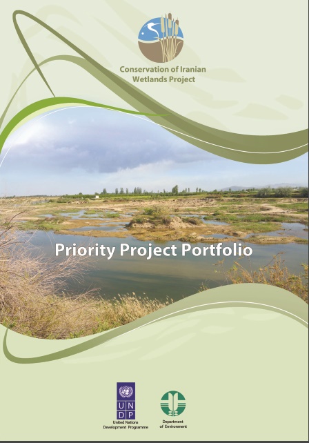 priority project portfolio