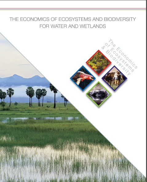 The economics of ecosystems and biodiversity for water and wetland